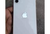 IPHONE 11PLAIN: GB64😎Clean