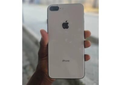Snapinsta.app_464346860_18291551851225777_868675478216442594_n_1080