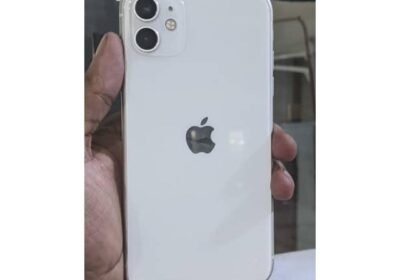 Snapinsta.app_465090152_18292383124225777_6174782724118156439_n_1080
