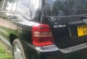 TOYOTA KLUGER