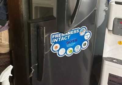 1000027913