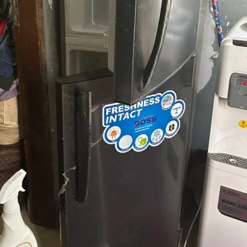 FRIDGE DOUBLE DOORS