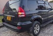 PRADO DIAMOND 120 