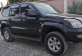 PRADO DIAMOND 120 