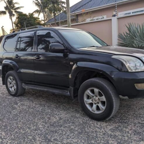 PRADO DIAMOND 120 