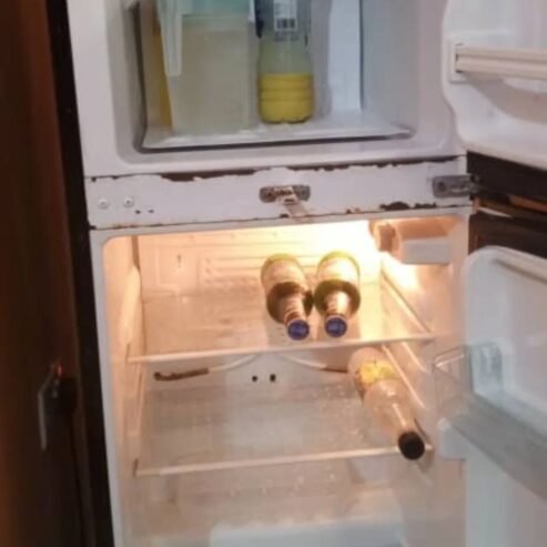FRIDGE DOUBLE DOORS