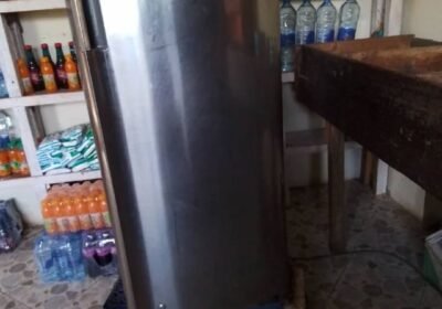 1000033359