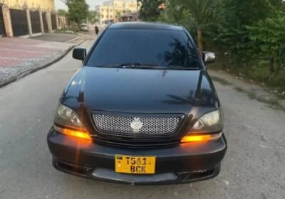 1000033576