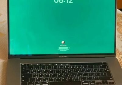 1000039586