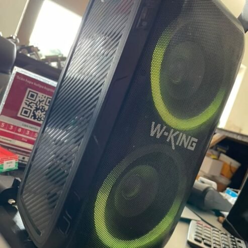 WKING SPEAKER