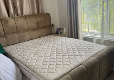 1000043601