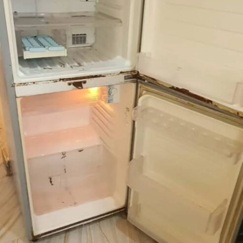 FRIDGE DOUBLE DOORS