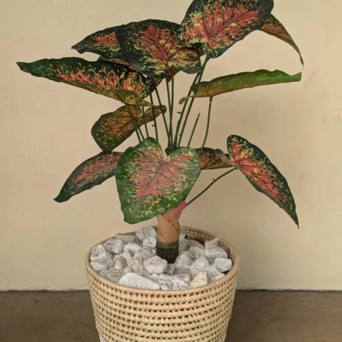 MAUA ARTIFICIAL