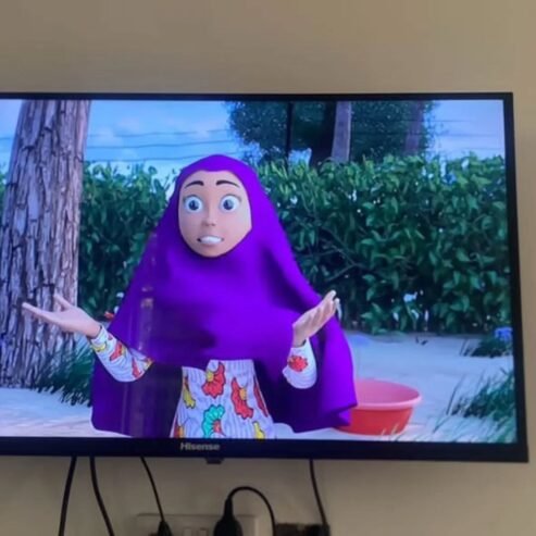 HISENSE SMART TV