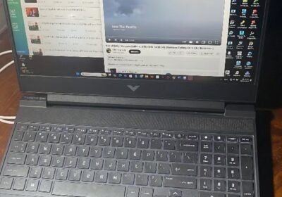 1000047333