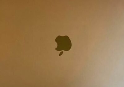 Snapinsta.app_470083655_1285927292559288_6058659622927247339_n_1024