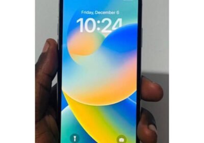 Snapinsta.app_470083662_18298059532225777_1045811752608729810_n_1080