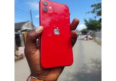 Snapinsta.app_470936567_18298926868225777_8678528024653656669_n_1080