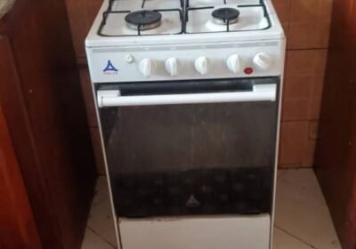 1000055263