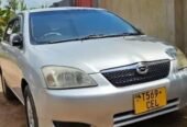 TOYOTA RUNEX