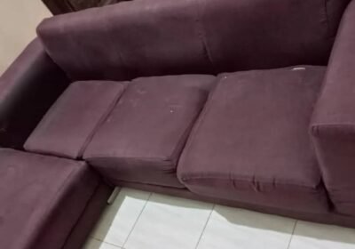 1000065097