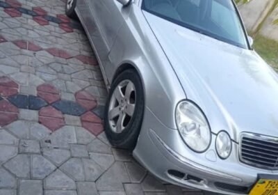 1000069261