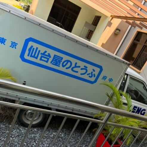 TOWN HIACE EHX