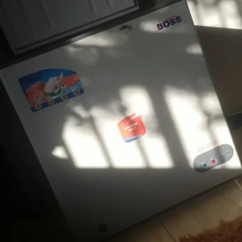 FREEZER LA BOSS