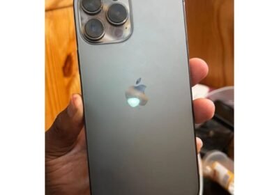 Snapinsta.app_472387172_2117458142021472_6493441559841601109_n_1080