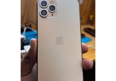 Snapinsta.app_472830978_2028036391030336_5381003100015336896_n_1080