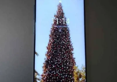 Snapinsta.app_473038932_18301773139225777_6760461475725472898_n_1080