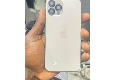 Snapinsta.app_473539516_18302034538225777_3943794661223033062_n_1080