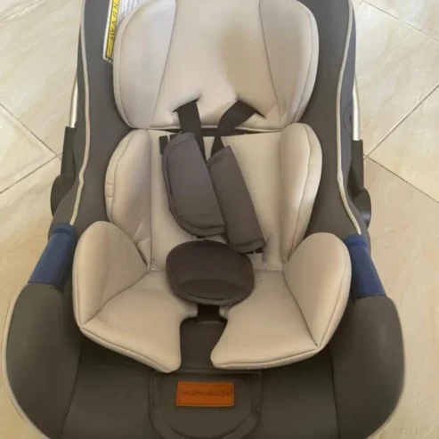 CAR SEATER