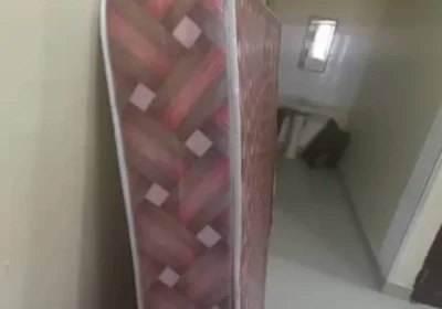 1000091951