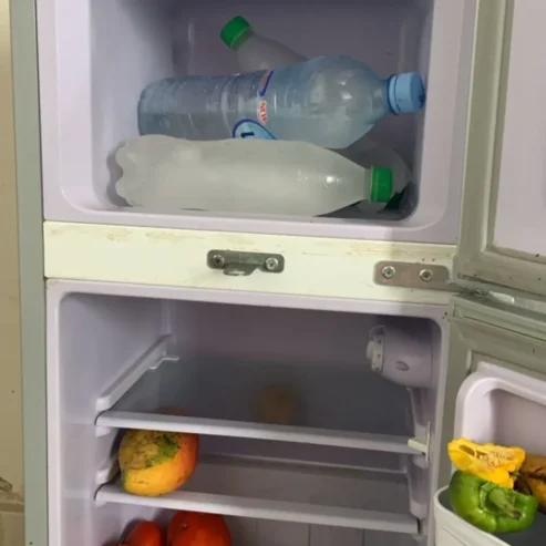 FRIDGE DOUBLE DOORS