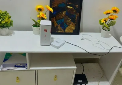 1000106758