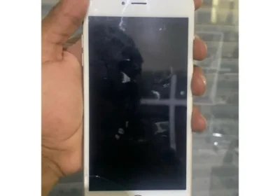 Snapinst.app_473434763_18307566628225777_710457988286243252_n_1080