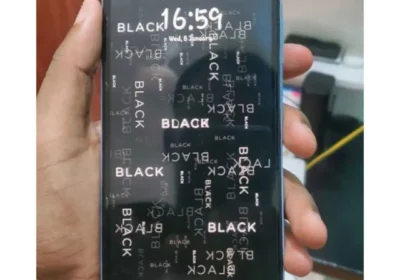 Snapinst.app_480952305_18306451354225777_6875478647218857444_n_1080