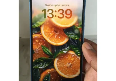 Snapinst.app_480997119_18307192279225777_5031182853185229661_n_1080
