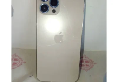 Snapinst.app_481684063_18307314631225777_4166486507452601652_n_1080