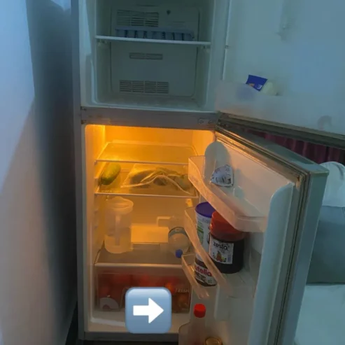 FRIDGE DOUBLE DOORS