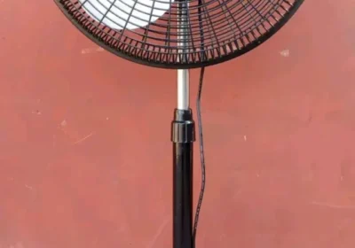 1000123823