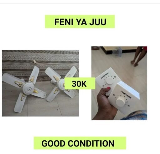 FENI YA JUU🔥🔥🔥