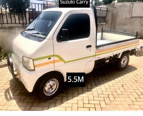Suzuki Carry